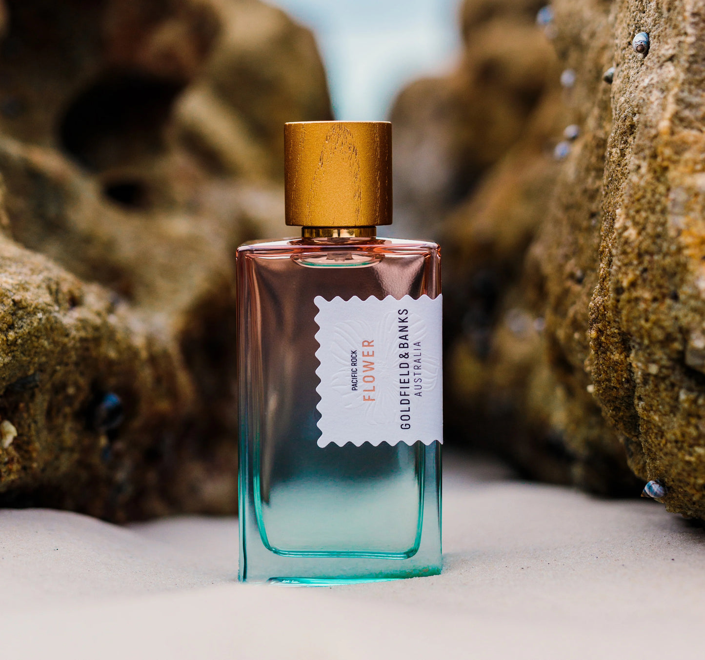 Goldfield & Banks Pacific Rock Flower