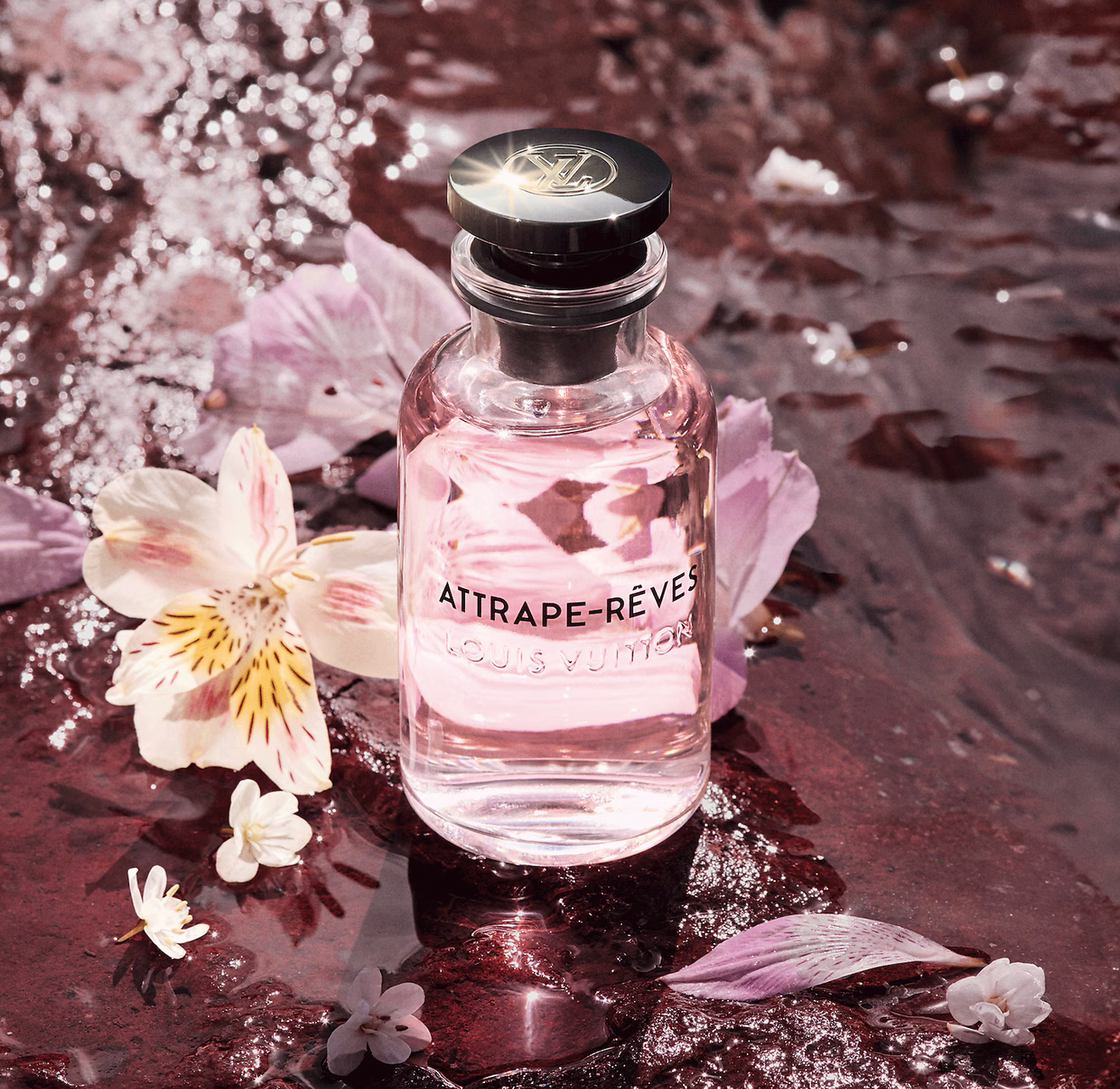 Louis Vuitton Attrape-Rêves