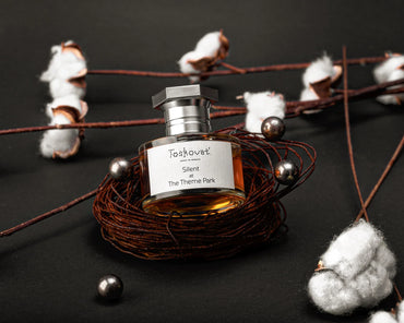 Toskovat Silent At The Theme Park