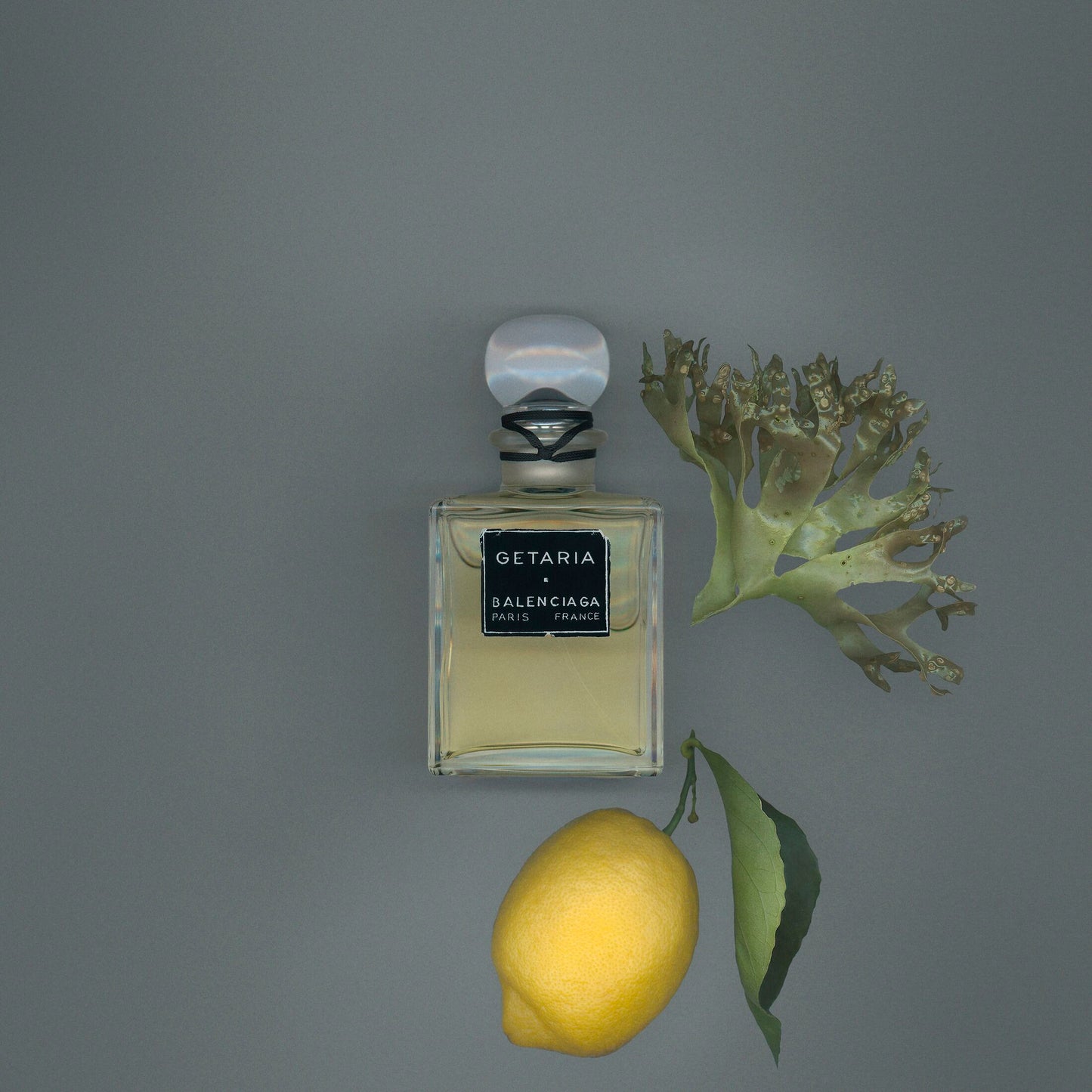 Balenciaga Getaria (Sample)