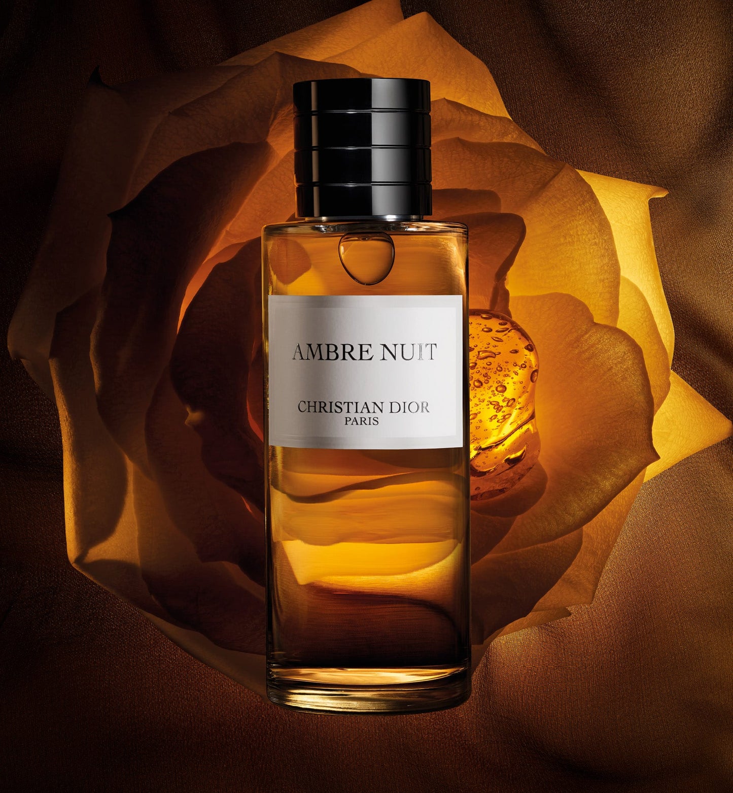 Dior Ambre Nuit (Sample)
