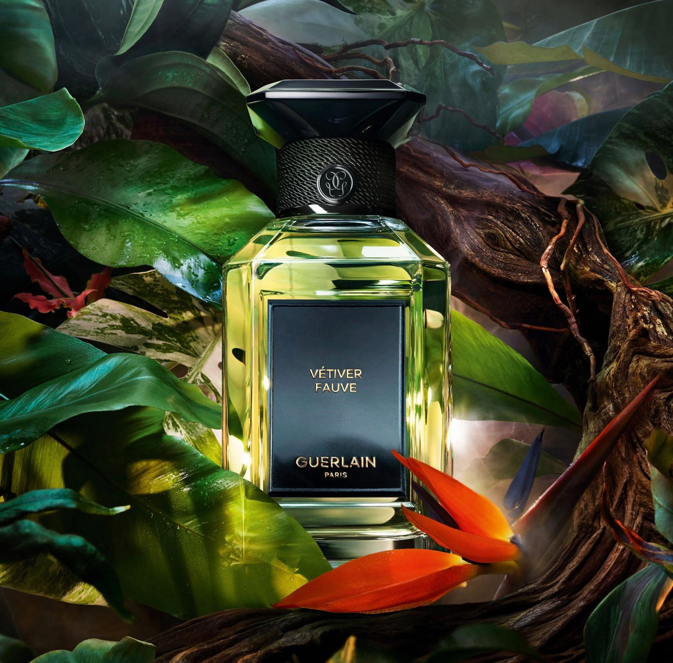 Guerlain Vétiver Fauve (Sample)