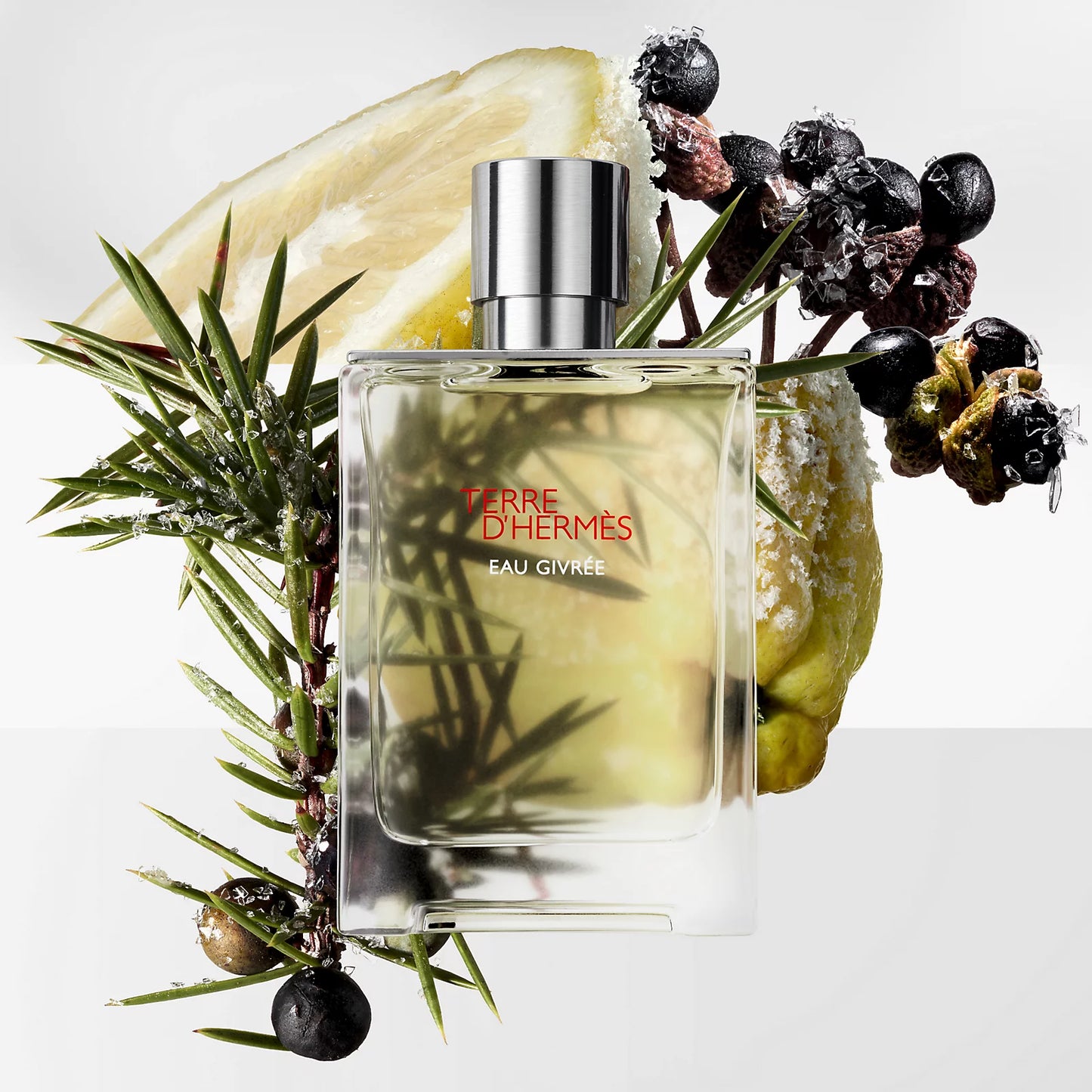Hermès Terre d'Hermès Eau Givree (Sample)