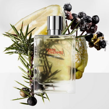 Hermès Terre d'Hermès Eau Givree (Sample)