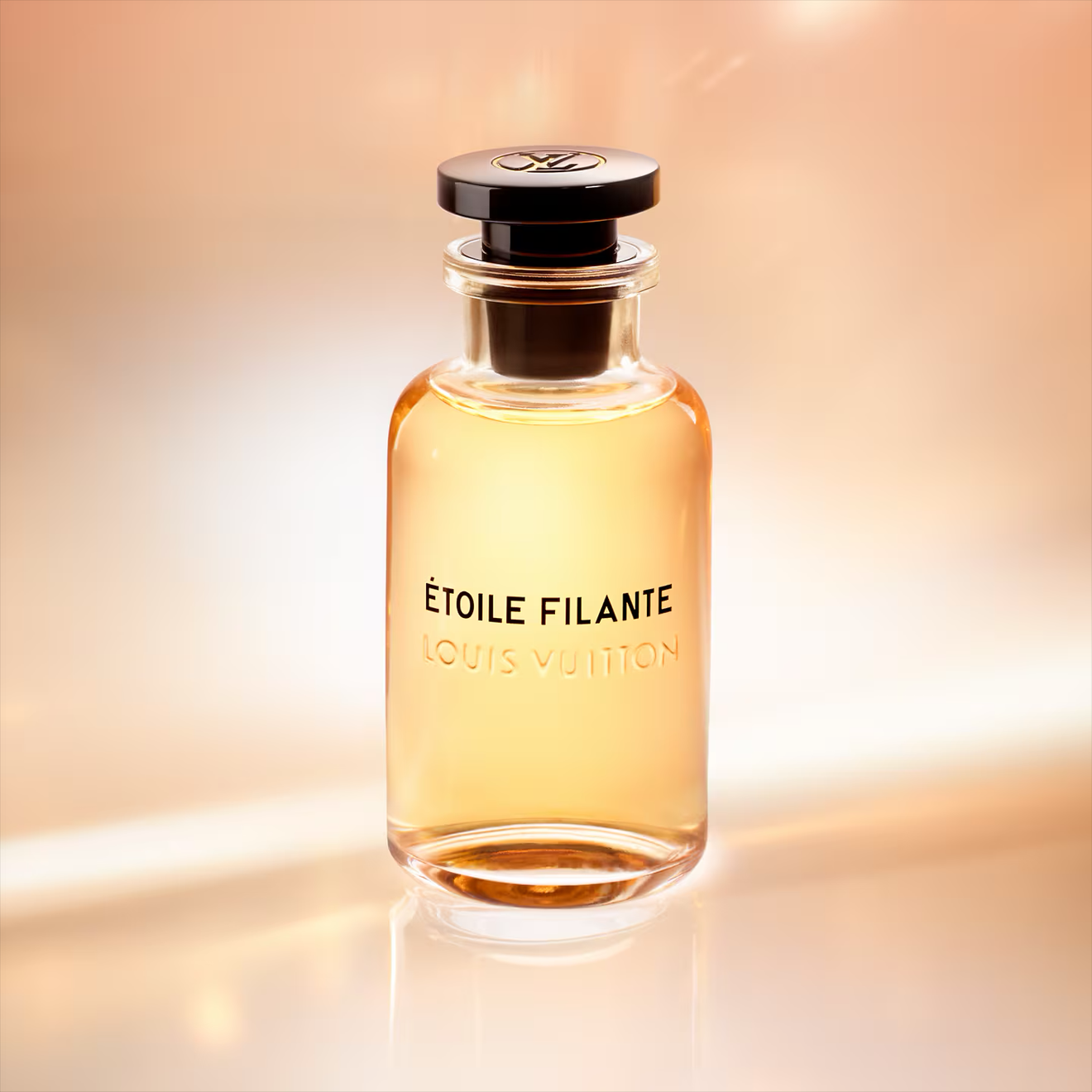 Louis Vuitton Étoile Filante (Sample)