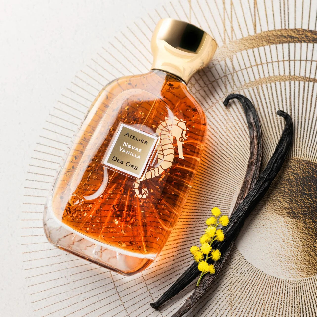 Atelier Des Ors Novae Vanilla (Sample)