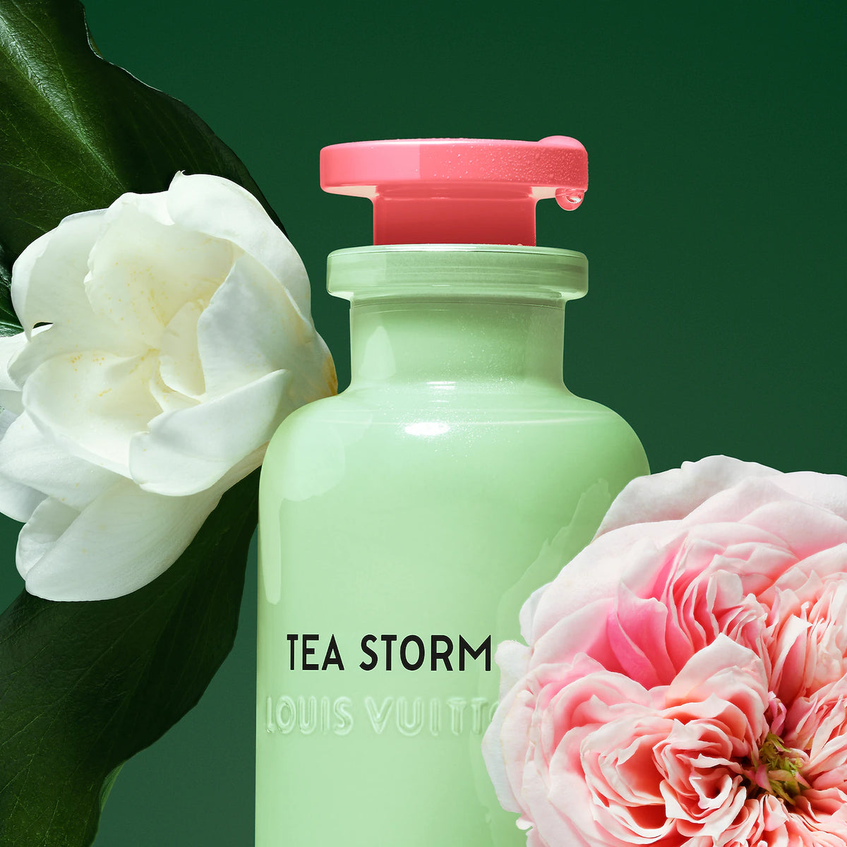 Louis Vuitton Tea Storm (Sample)