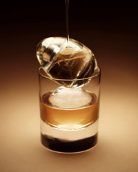 d'Annam Tokyo Nights