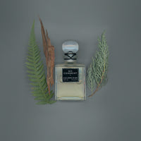 Balenciaga No Comment (Sample)