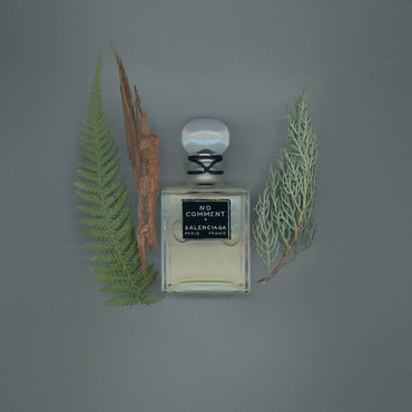 Balenciaga No Comment (Sample)